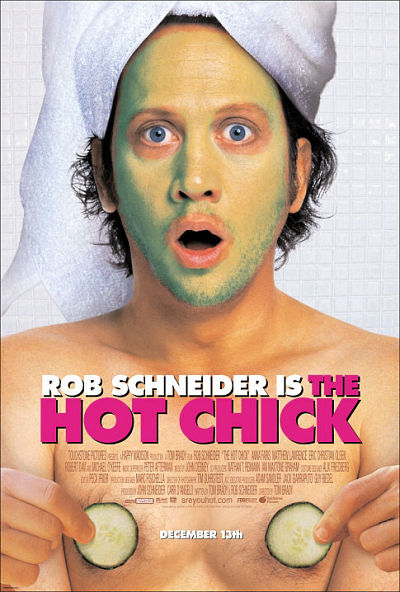 The Hot Chick Poster