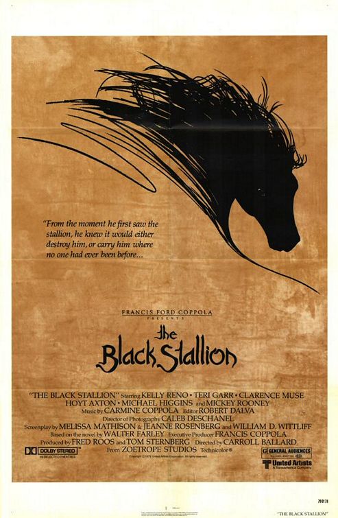 The Black Stallion Poster