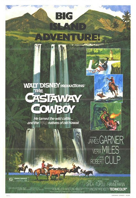 Castaway Cowboy Poster