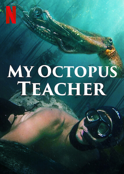 My Octopus Teacher Poster