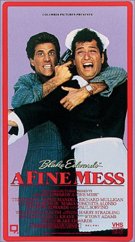 A Fine Mess Poster